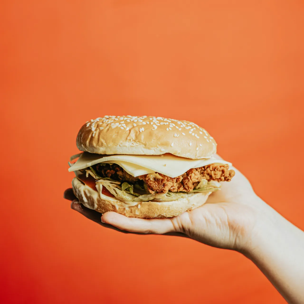 Template Image – $Meerkat Webflow Template